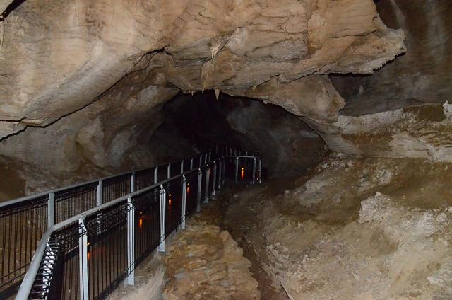 Waitomo Glowworm Caves